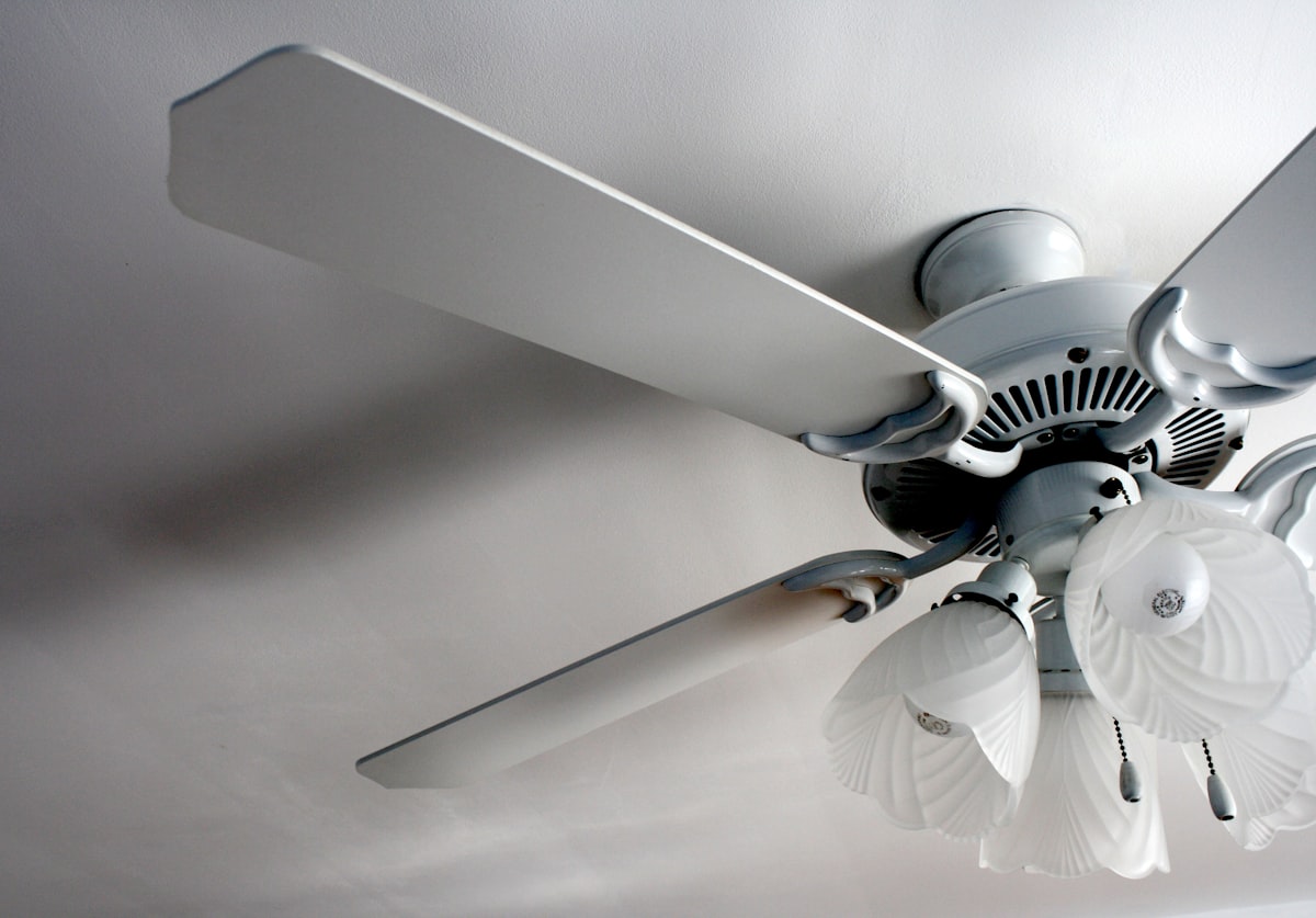 Een ventilator plafond als blikvanger in je interieur